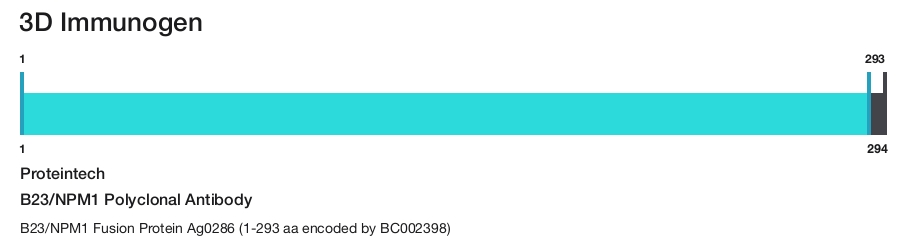 B23/NPM1 Polyclonal Antibody