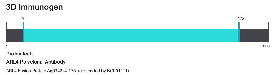 ARL4 Polyclonal Antibody