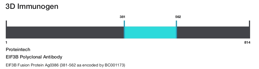 EIF3B Polyclonal Antibody