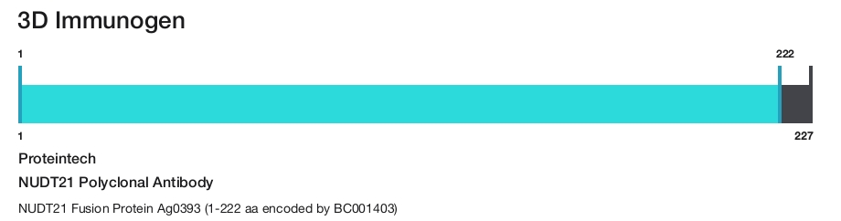 NUDT21 Polyclonal Antibody