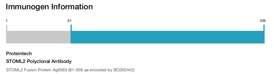 STOML2 Polyclonal Antibody