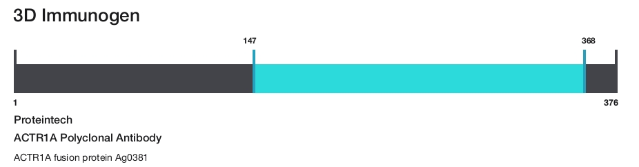 ACTR1A Polyclonal Antibody