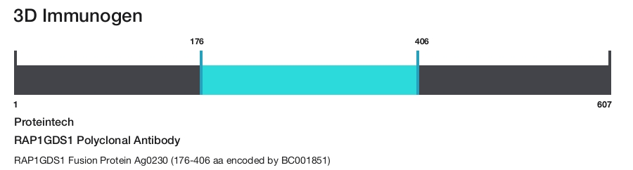 RAP1GDS1 Polyclonal Antibody