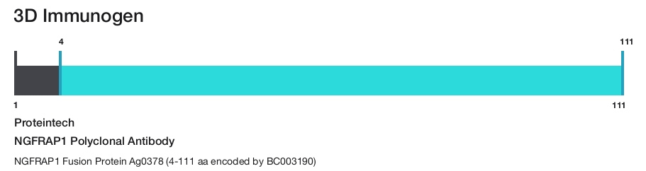 NGFRAP1 Polyclonal Antibody