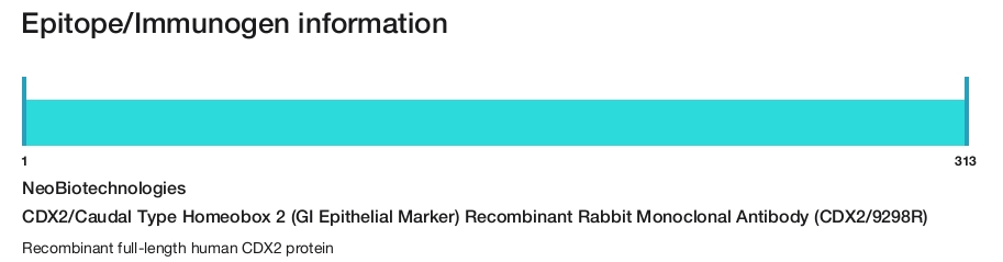 CDX2/Caudal Type Homeobox 2 (GI Epithelial Marker) Recombinant Rabbit Monoclonal Antibody (CDX2/9298R)