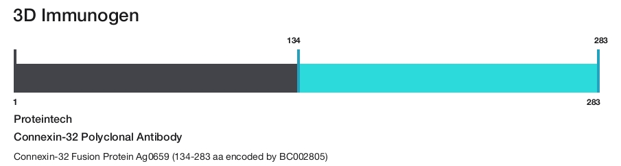 Connexin-32 Polyclonal Antibody