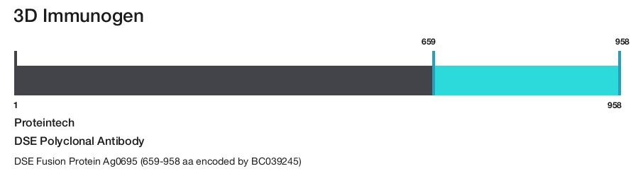 DSE Polyclonal Antibody