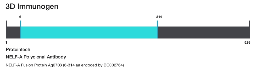 NELF-A Polyclonal Antibody