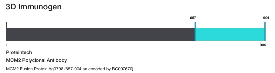 MCM2 Polyclonal Antibody
