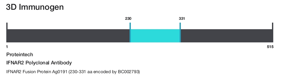 IFNAR2 Polyclonal Antibody