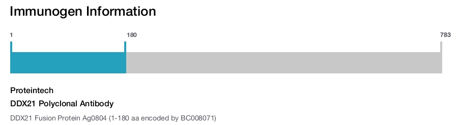 DDX21 Polyclonal Antibody