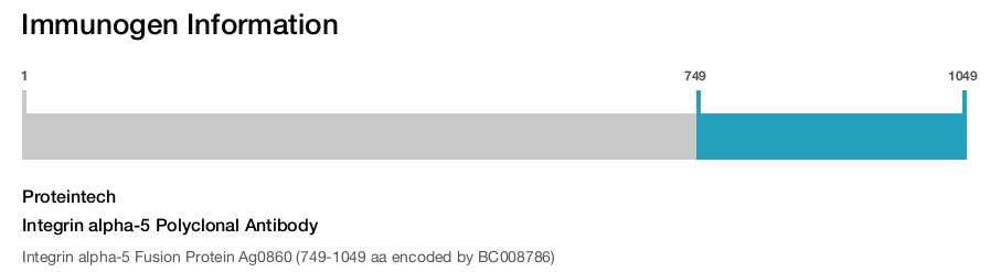 Integrin alpha-5 Polyclonal Antibody