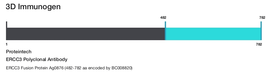 ERCC3 Polyclonal Antibody