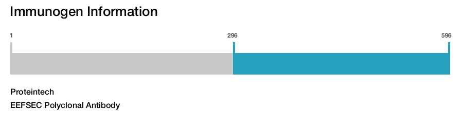 EEFSEC Polyclonal Antibody