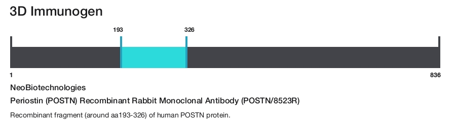 Periostin (POSTN) Recombinant Rabbit Monoclonal Antibody (POSTN/8523R)