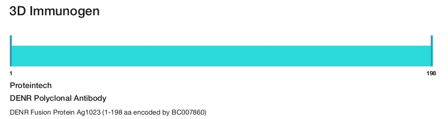 DENR Polyclonal Antibody