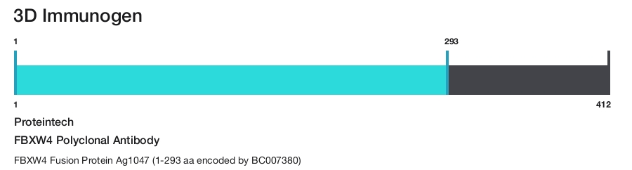 FBXW4 Polyclonal Antibody