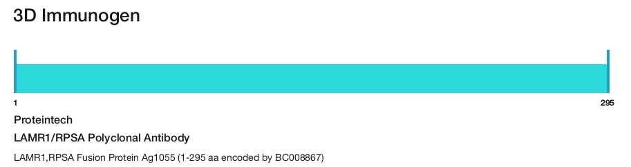 LAMR1/RPSA Polyclonal Antibody