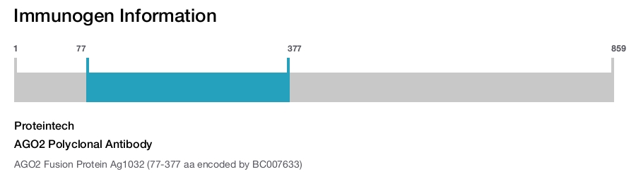 AGO2 Polyclonal Antibody