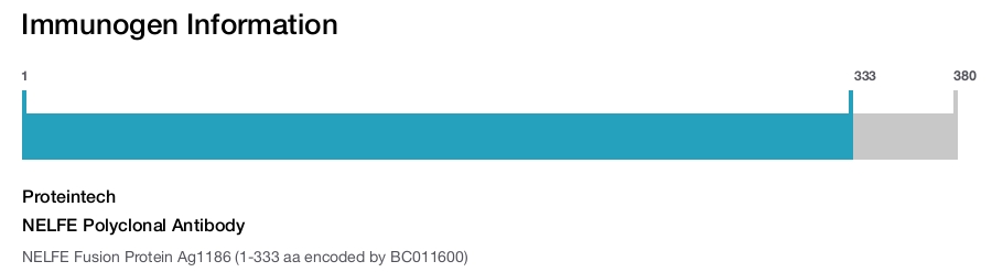 NELFE Polyclonal Antibody