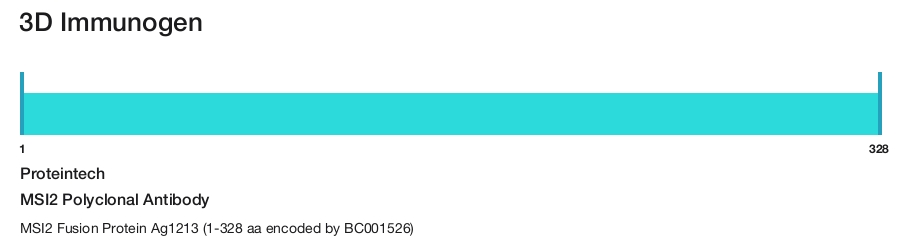 MSI2 Polyclonal Antibody