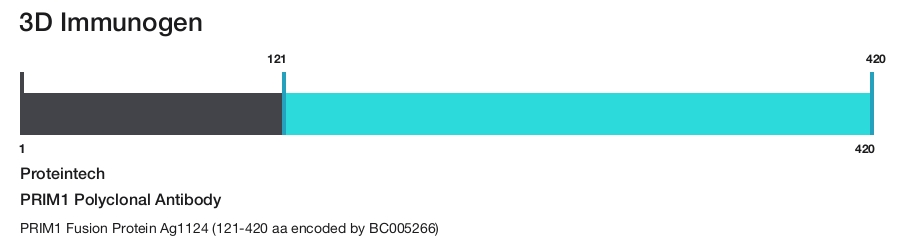 PRIM1 Polyclonal Antibody