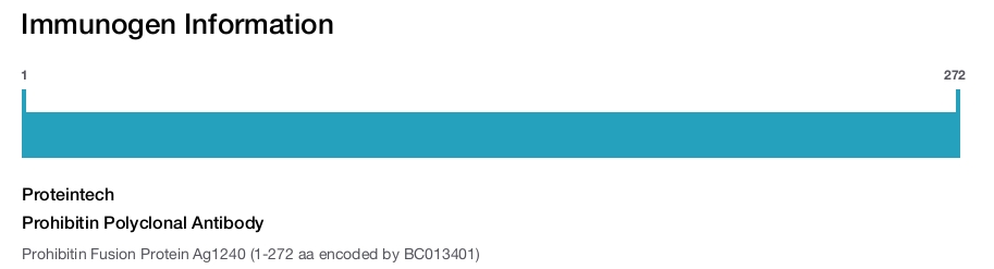 Prohibitin Polyclonal Antibody