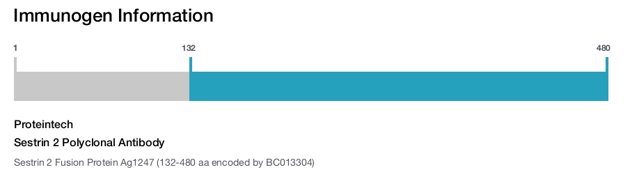 Sestrin 2 Polyclonal Antibody