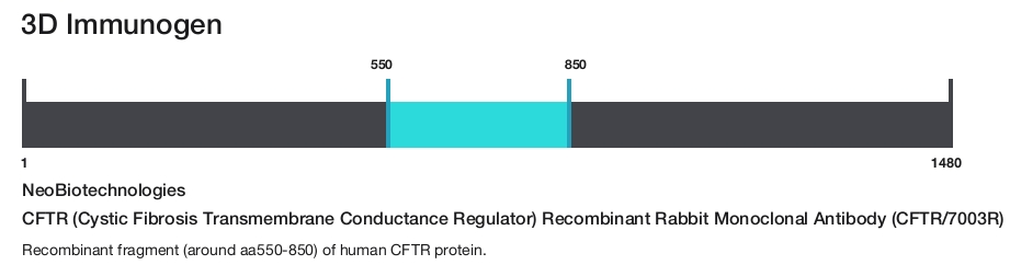 CFTR (Cystic Fibrosis Transmembrane Conductance Regulator) Recombinant Rabbit Monoclonal Antibody (CFTR/7003R)
