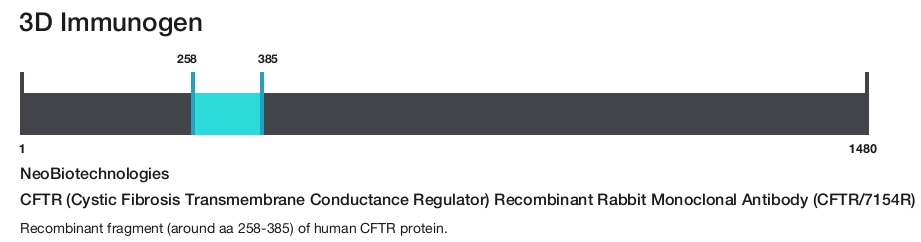 CFTR (Cystic Fibrosis Transmembrane Conductance Regulator) Recombinant Rabbit Monoclonal Antibody (CFTR/7154R)