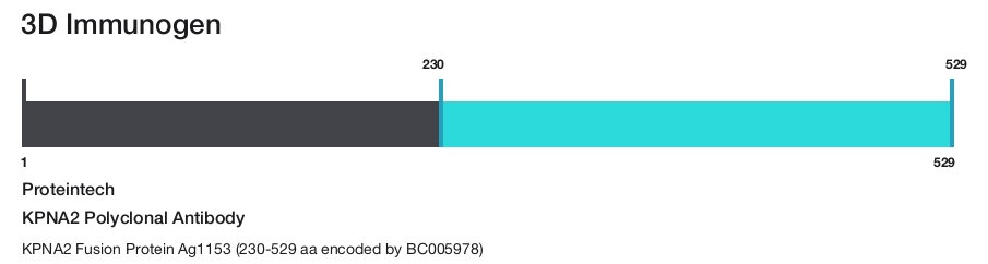 KPNA2 Polyclonal Antibody