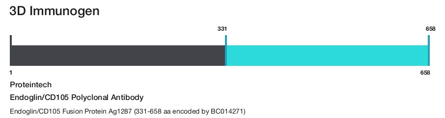 Endoglin/CD105 Polyclonal Antibody