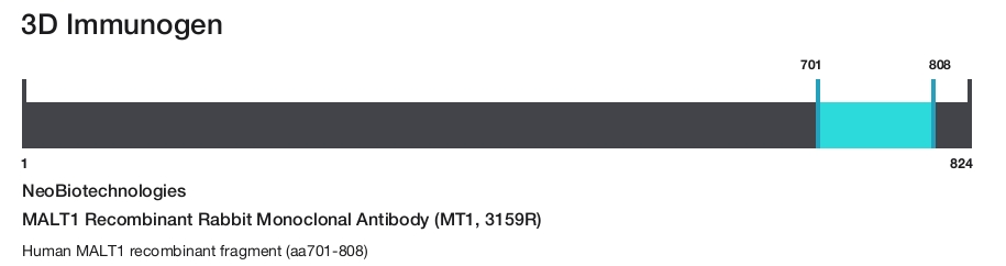MALT1 Recombinant Rabbit Monoclonal Antibody (MT1, 3159R)