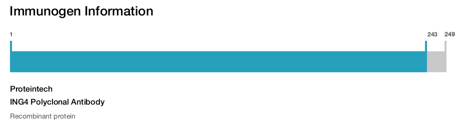 ING4 Polyclonal Antibody