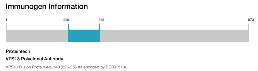 VPS18 Polyclonal Antibody