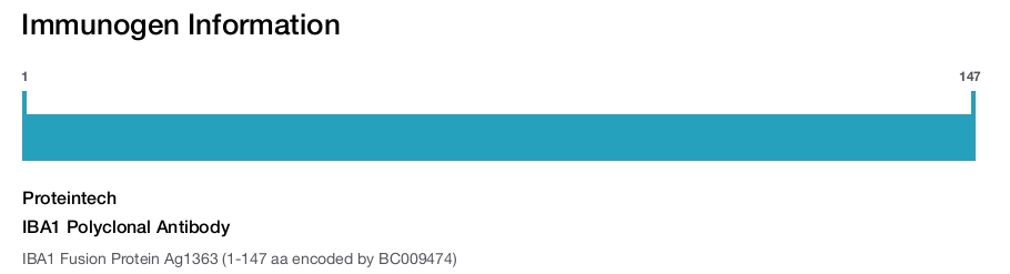 IBA1 Polyclonal Antibody