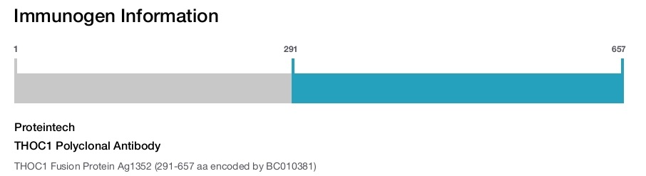 THOC1 Polyclonal Antibody