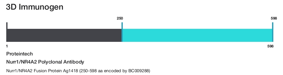 Nurr1/NR4A2 Polyclonal Antibody