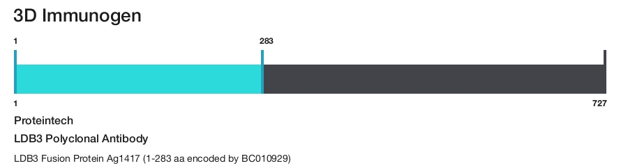 LDB3 Polyclonal Antibody