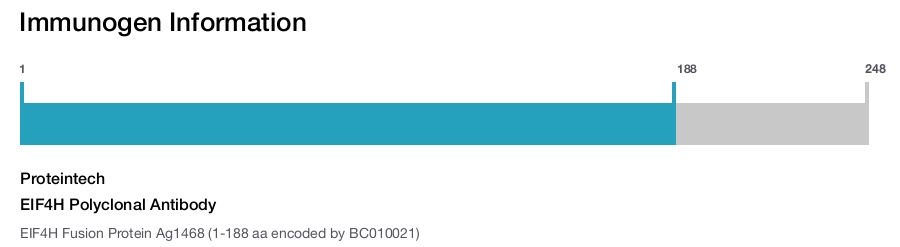 EIF4H Polyclonal Antibody
