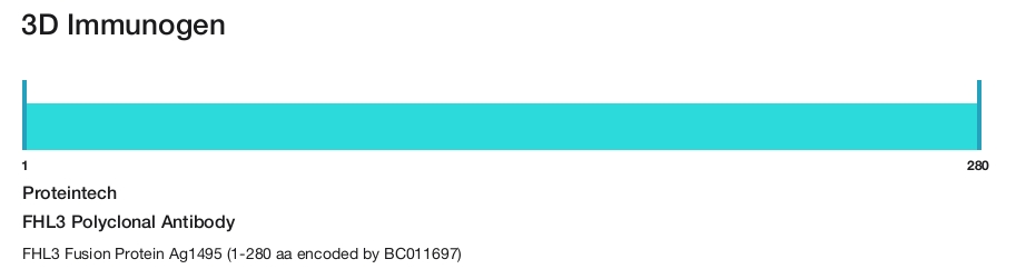 FHL3 Polyclonal Antibody