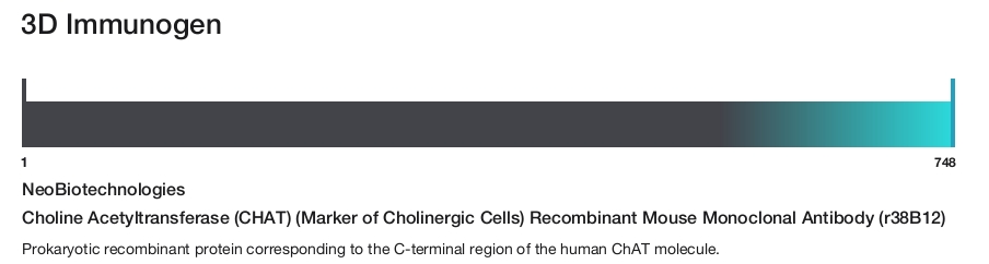 Choline Acetyltransferase (CHAT) (Marker of Cholinergic Cells) Recombinant Mouse Monoclonal Antibody (r38B12)