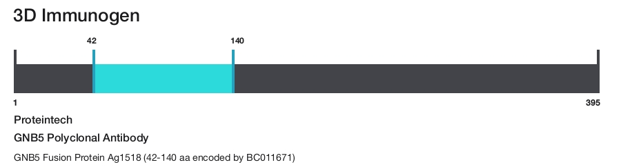 GNB5 Polyclonal Antibody