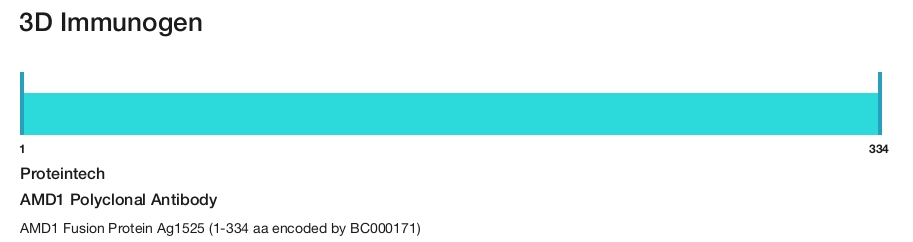 AMD1 Polyclonal Antibody