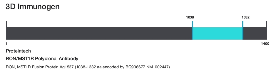 RON/MST1R Polyclonal Antibody