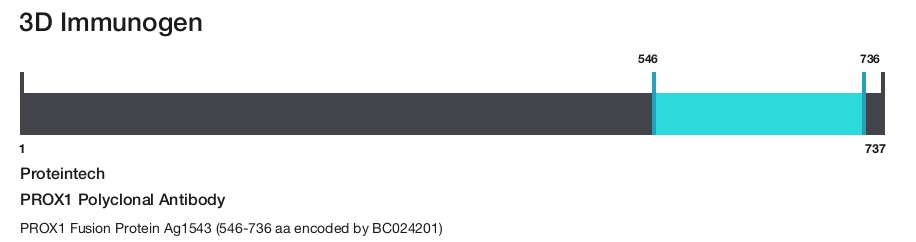 PROX1 Polyclonal Antibody