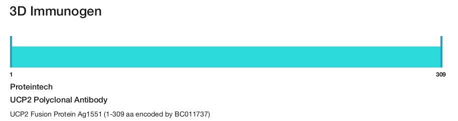 UCP2 Polyclonal Antibody