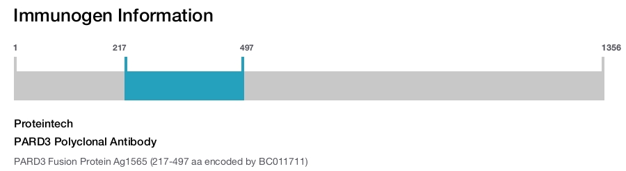 PARD3 Polyclonal Antibody