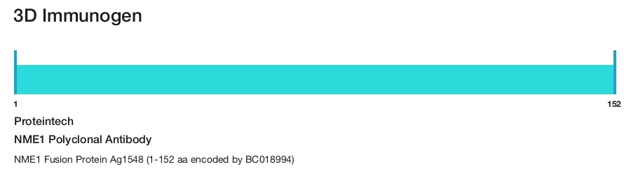 NME1 Polyclonal Antibody