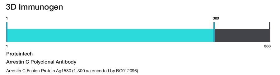 Arrestin C Polyclonal Antibody